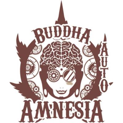 Buddha Seeds Amnesia AUTO semienka neobsahujú THC 3 ks