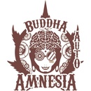 Buddha Seeds Amnesia AUTO semena neobsahují THC 1 ks