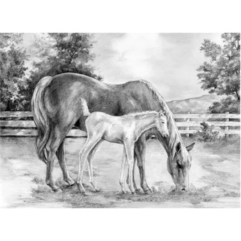 Image 1 of Royal & Langnickel - Творчески комплект за графика - Коне (SKBNL8)