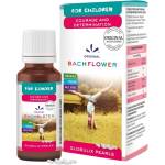 Lemon Pharma Dr. Bach Courage and Determination Children Pearls [20 грама]
