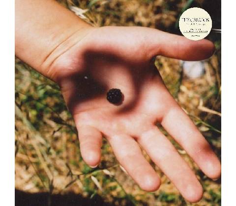 CALICOS - SOFT LANDING LP