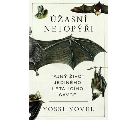 Úžasní netopýři