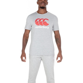 Canterbury Large Logo T Shirt Mens Grey