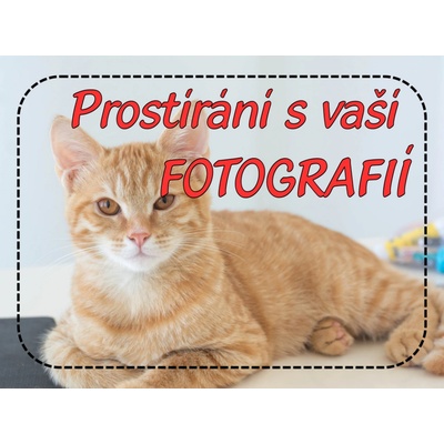 PokojovaDekorace.cz Prostírání s vaší fotografií 999 43x30cm