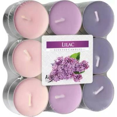 Bispol lilac 18 ks