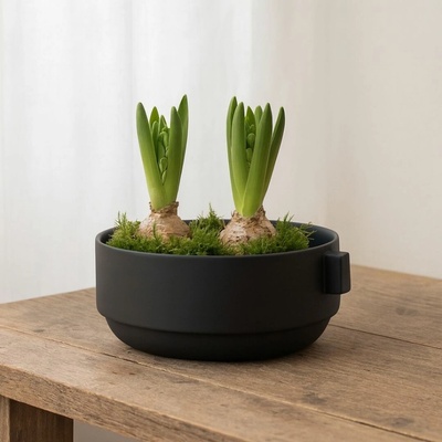 Wikholm Form Mísa černá Rachel 25 cm