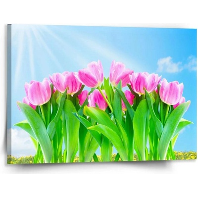 Sablio Obraz Růžové tulipány - 150x110 cm