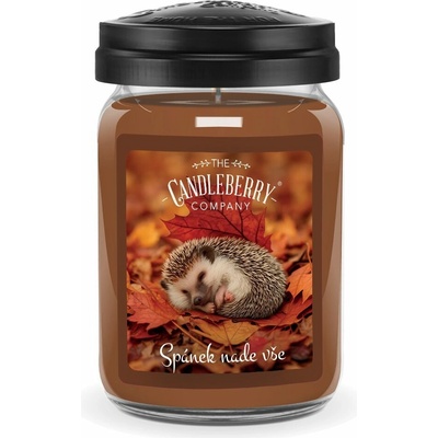 Candleberry Candle Spánek nade vše 624 g