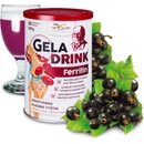 Doplnky stravy Orling Geladrink Ferritin nápoj Čierne ríbezle 360 ​​g