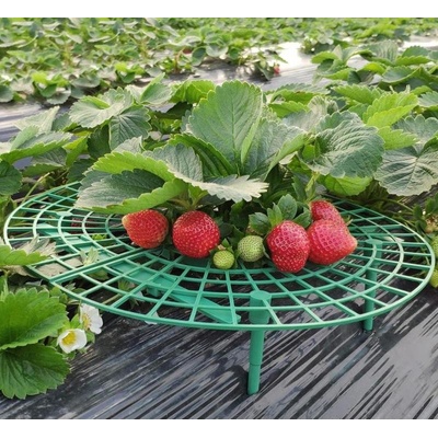 Podložka pod jahody, plast, 30 cm, 5 ks – Sleviste.cz