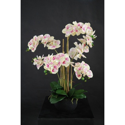 ILA Umělá rostlina Orchidej Phalaenopsis (70cm) - žíhaná