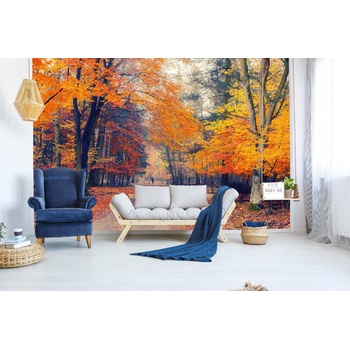 DIMEX ART s. r. o Самозалепваща се флизелинова фототапета пътека през есенния парк 375 x 250 см