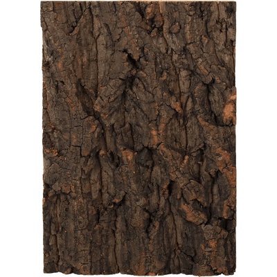 Repti Planet korkové pozadí přírodní 19x27,3 cm – Zboží Dáma