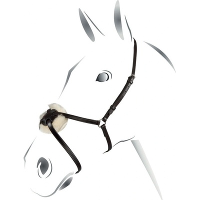 EQUESTRO Nánosník mexický černý
