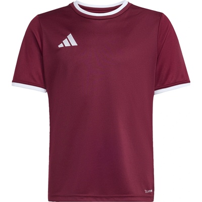 adidas Entrada 26 Kids vínová