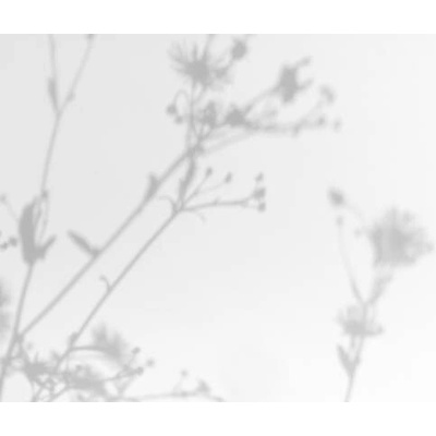 Plakát, Obraz - Gray shadows of grass and flowers on white wall, Aleksandra Konoplia, 40 × 26.7 cm