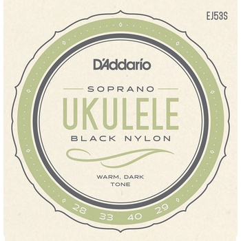 D'addario EJ53S