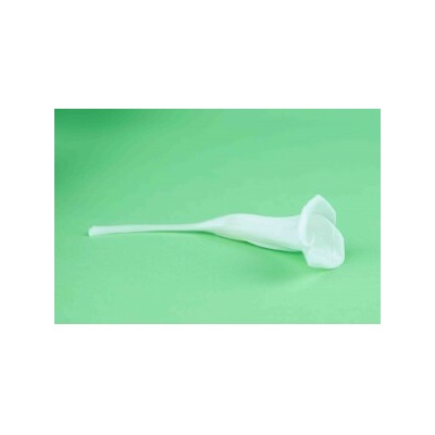 Stabilizované kvety Calla - biela