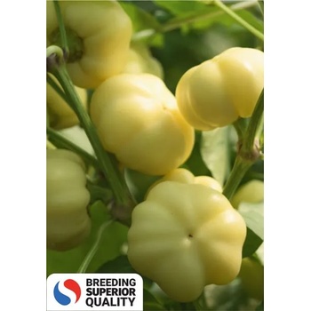 Image 1 of Superior Пипер Бели Калвил