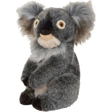 Daphne's Driver Headcovers Koala