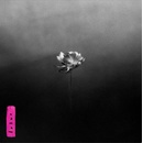 Little SIMZ - LOTUS 1 CD