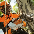 Image 1 of STIHL MSA 161 T (12522000068)