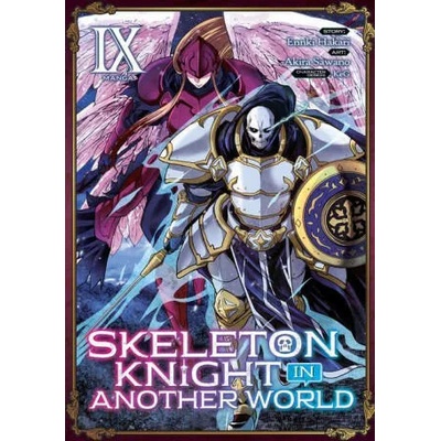 Skeleton Knight in Another World