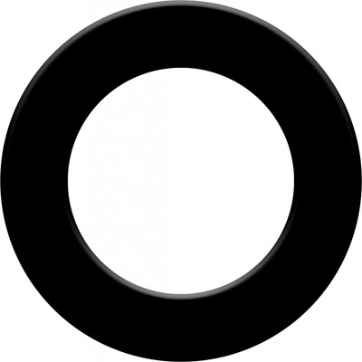 XQ MAX Ochranný kruh Dartboard Surround BLACK