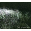 Headlight Serenade - Triosk CD