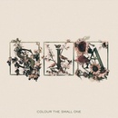 SIA: COLOUR THE SMALL ONE CD