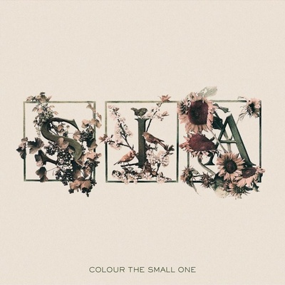 SIA: COLOUR THE SMALL ONE CD