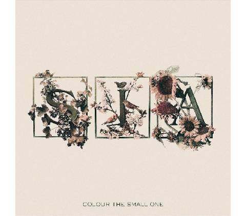 SIA: COLOUR THE SMALL ONE CD