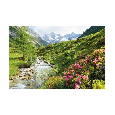 Plagát, Obraz - Alpy - Nature and Mountains, 91.5 × 61 cm