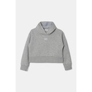 Under Armour Rival Fleece Crop Hoodie K 1379517-012 šedá