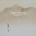 HAYES GEMMA: BONES + LONGING LP