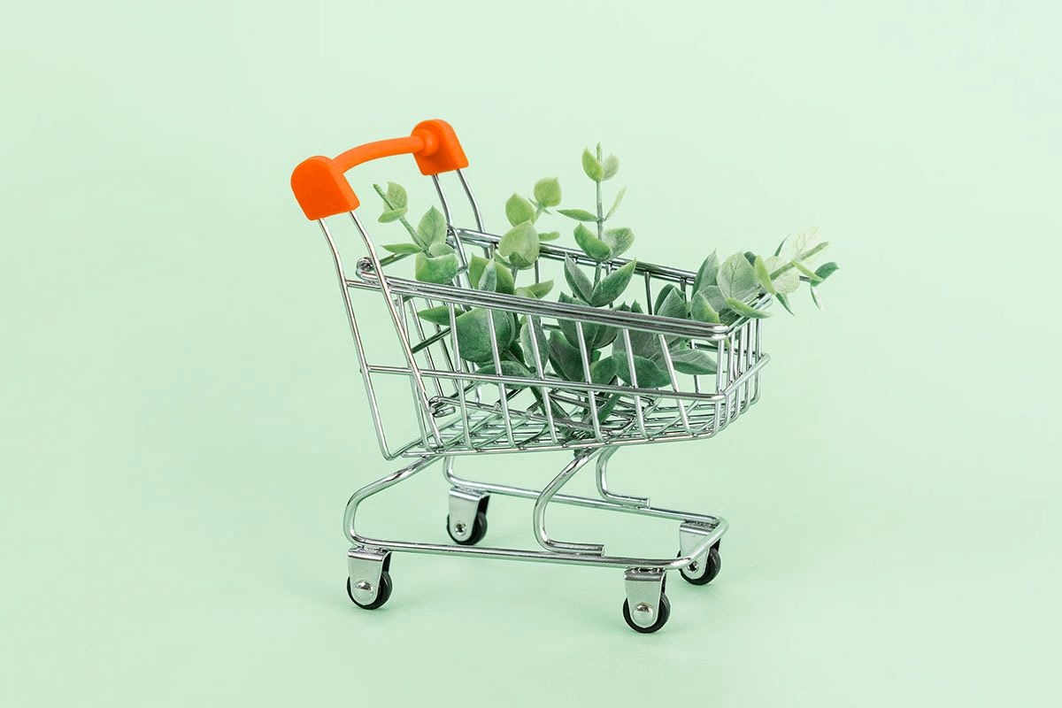 Un cărucior de cumpărături cu o plantă, ca reprezentare simbolică a sustenabilității de Green Friday