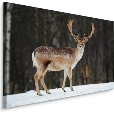 MyBestHome BOX Plátno Daněk V Zimě Varianta: 70x50