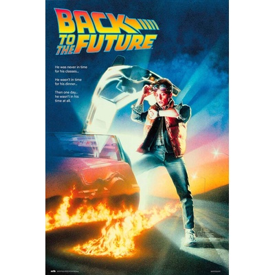 Plagát, Obraz - Back to the Future, 61 × 91.5 cm