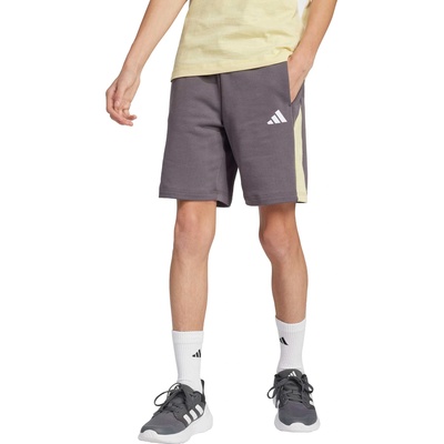 ADIDAS Къси панталони Seasonal Essentials Colorblock