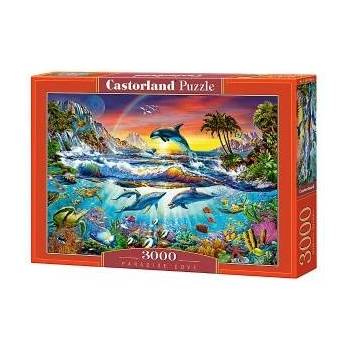 Castorland 3000 Piece Puzzle Paradise Cove C-300396