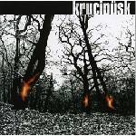 Warner Krucipüsk: Druide - CD (008578)
