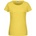Daiber 8007 yellow