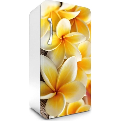 Dimex FR120-013 Fototapeta na lednici Plumeria 65 x 120 cm
