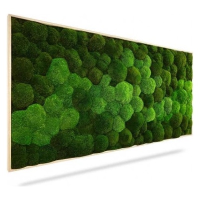 Machový obraz DUO Natural Green, 160x60cm, drevený čierny rám