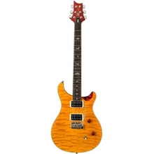 PRS SE CUSTOM 24