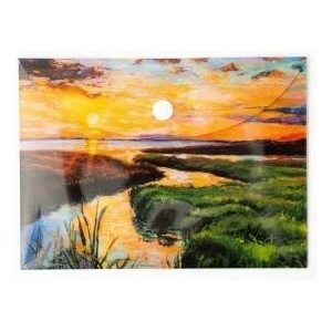 Narcissus Envelope Briefcase PP A6 River
