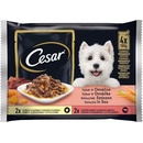 Cesar Adult Selection mix v omáčke 400 g