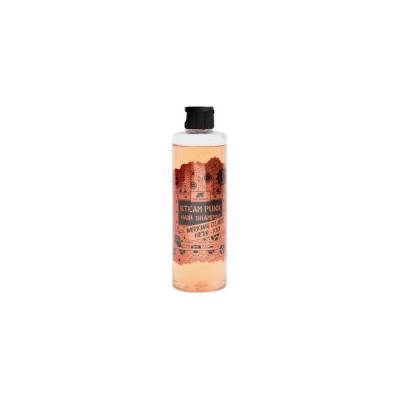 Pán Drwal Steam Punk Hero šampón na vlasy 250 ml