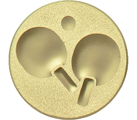 EV13