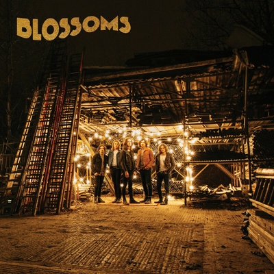BLOSSOMS: BLOSSOMS CD